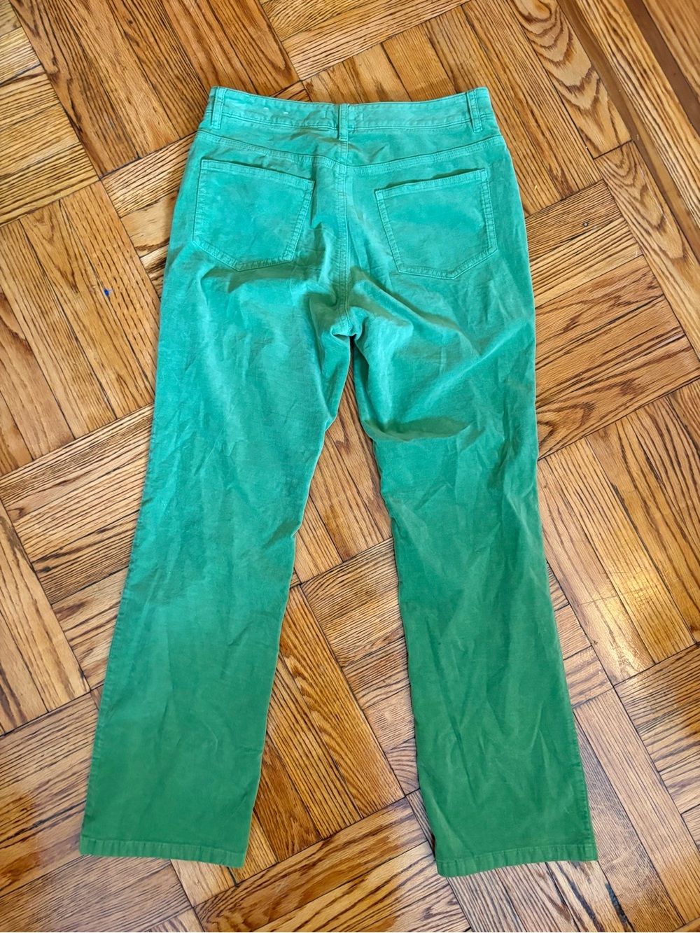 J. McLaughlin Velvet Pants, Light Green - Picture 2 of 3